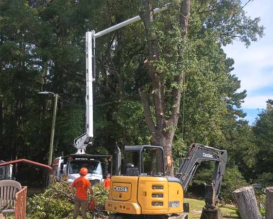 tree service ongoing