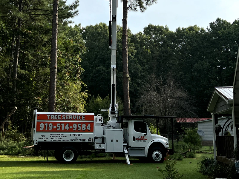 jlp truck with tree bucket